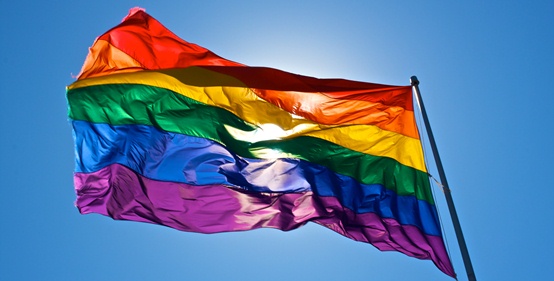 Huge Pride Flag